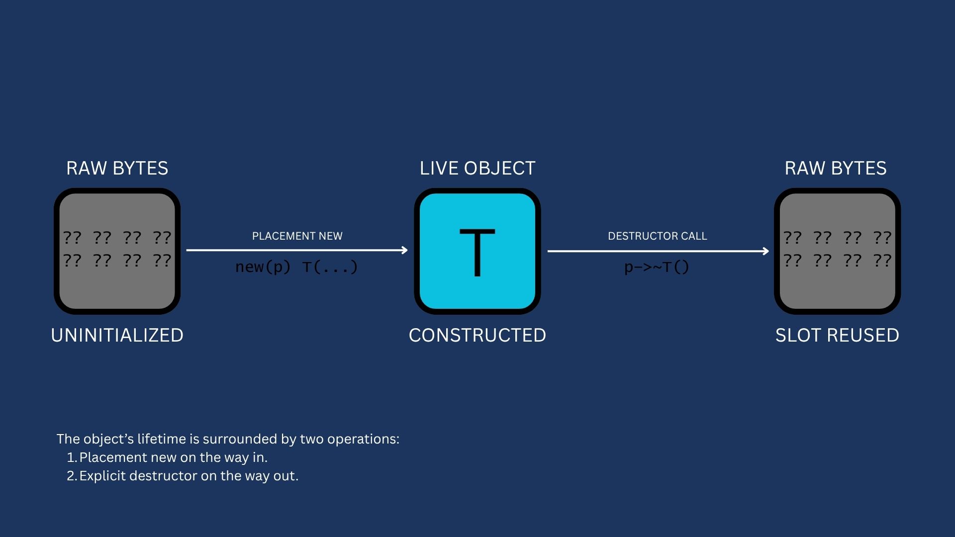 lifecycle